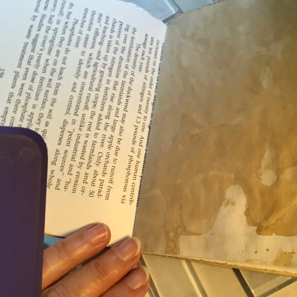 Handmade Journal 5x6 50 Pages Ephemera